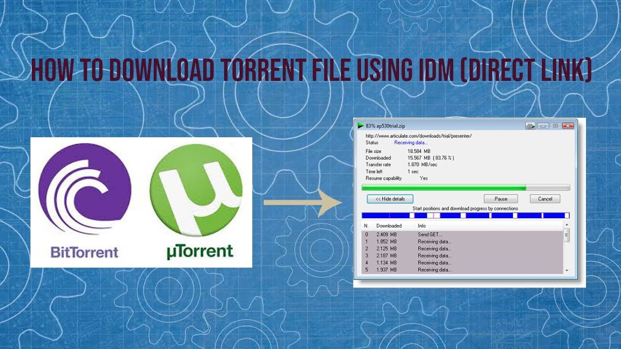 Is it better to download torrent or zip files